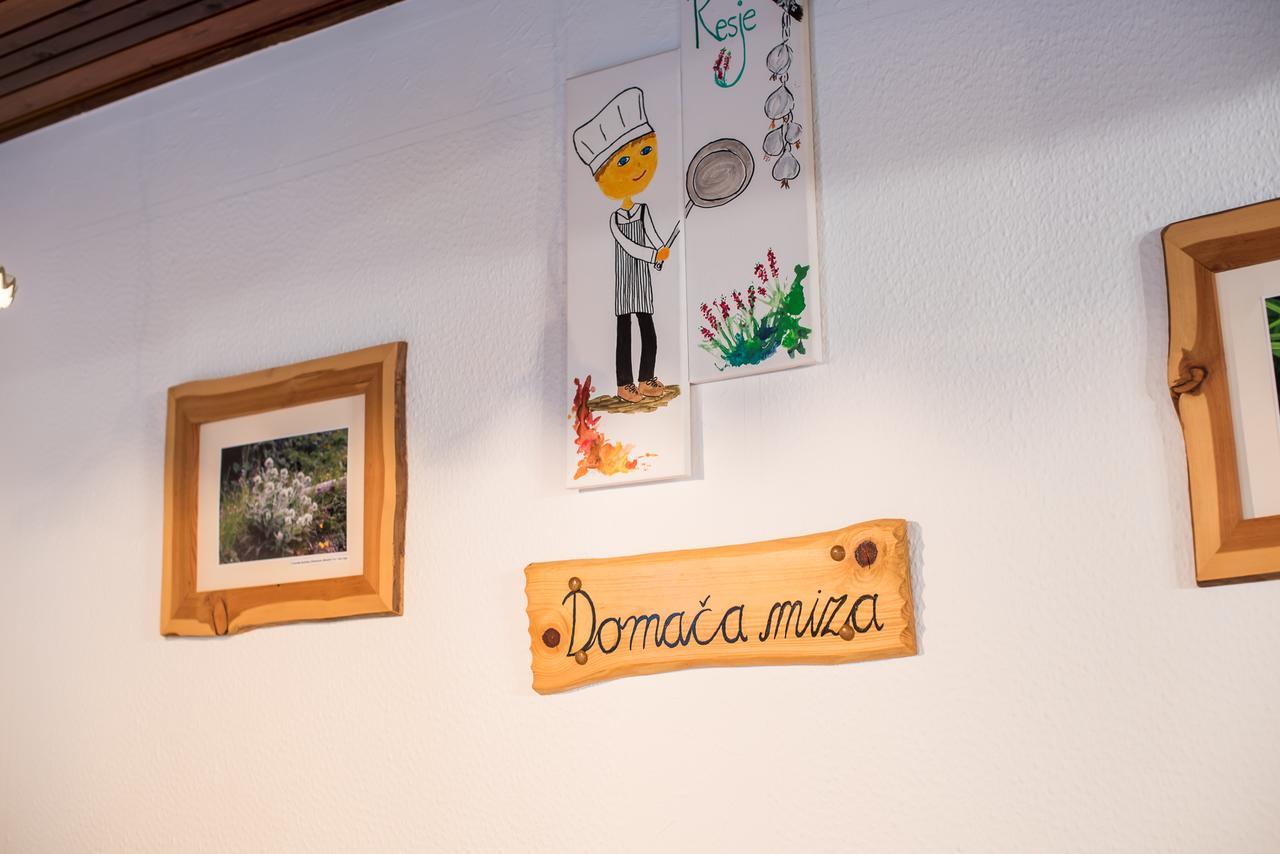 Bed & Breakfast Hisa Resje ボーヒニ エクステリア 写真